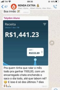 SEJA SEU PRÓPRIO CHEFE 💰