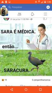 Novas amizades