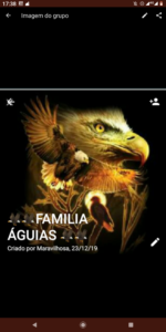 Família águias