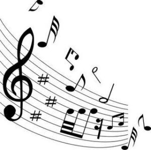 🎶AMANTE DA MUSICA🎶
