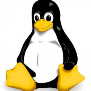 🄻🄸🄽🅄🅇 🄲🄾🄳🄴🅁🅂 #🐧