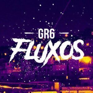 GR6 FLUXO