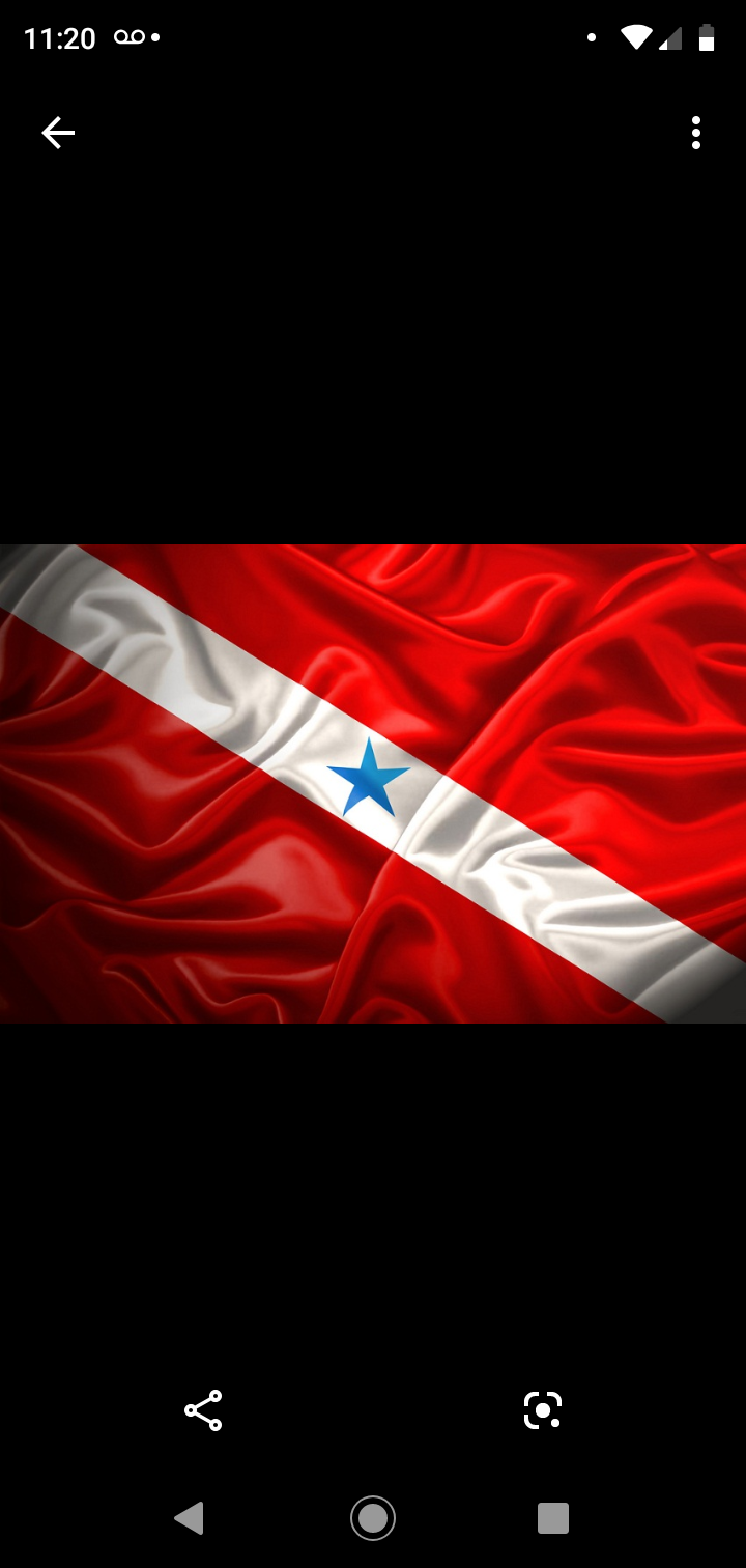 GRUPO PARAENSE