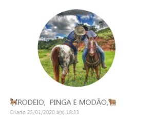 AMIZADE RODEIO MODÃO