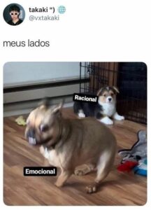 Memes e figurinhas