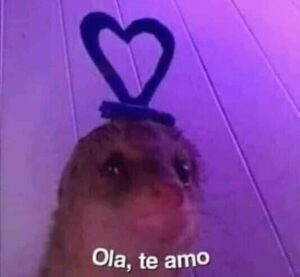 WEB FLERTE?? 🌚 ❤️ 🌝