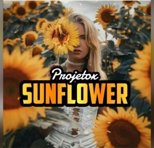 ➊ ⌇ 🌻ᴘʀᴏᴊᴇᴛᴏ sᴜɴғʟᴏᴡᴇʀ🌻