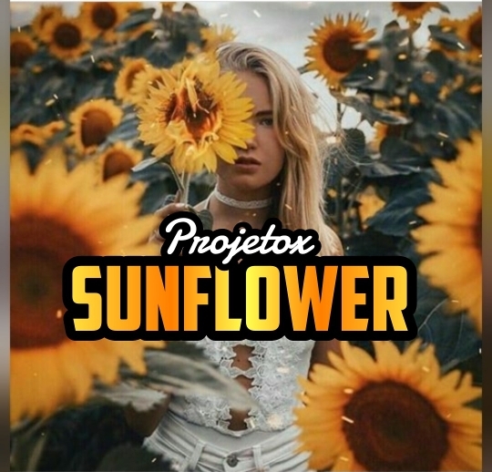 ➊ ⌇ 🌻ᴘʀᴏᴊᴇᴛᴏ sᴜɴғʟᴏᴡᴇʀ🌻