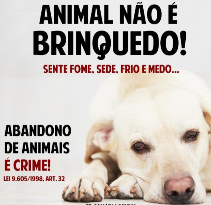 Doação de animais Brasília entorno