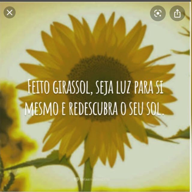 A IRMANDADE