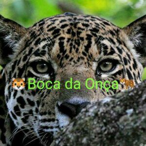 Boca da Onça