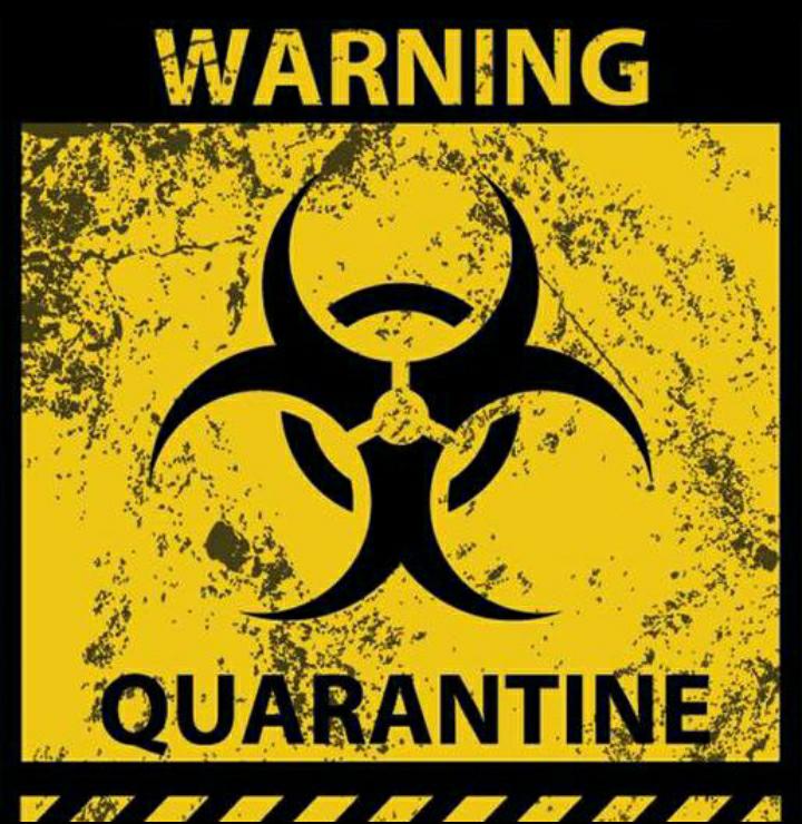 Quarentena