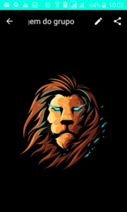 Recrutamento Real Lions