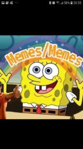 Memes e figurinhas