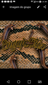 Engajatriz