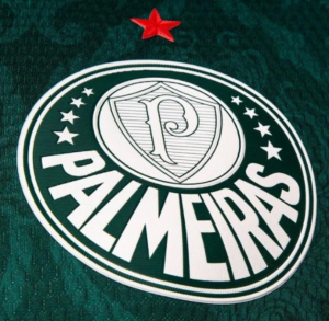 🐷💚 PALMEIRAS 💚🐷