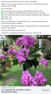 Cultivo de Orquídeas 🌺