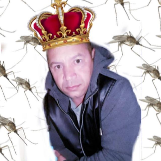 Cabaré de muriçoca