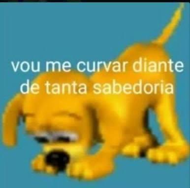 GRUPO DOS ADM E MEMBROS