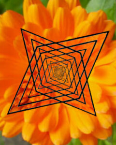 Tantra com Osho