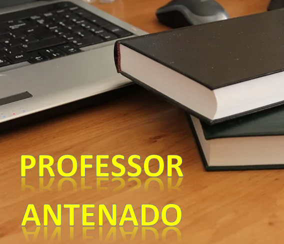 Professor crítico e reflexivo