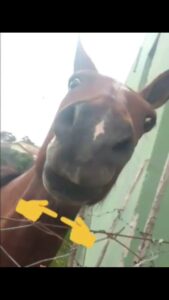 Jóias do infinito