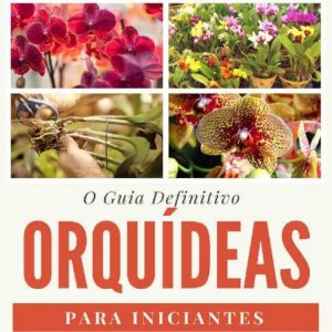 Orquídeas para iniciantes