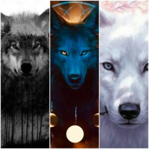 Thin Wolf🐺(🎶🎞Vídeos é Músicas🎞🎶)
