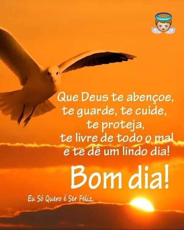 Amor em Cristo de estado de SP
