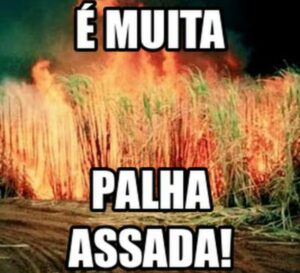 TROPA DA ZUEIRA