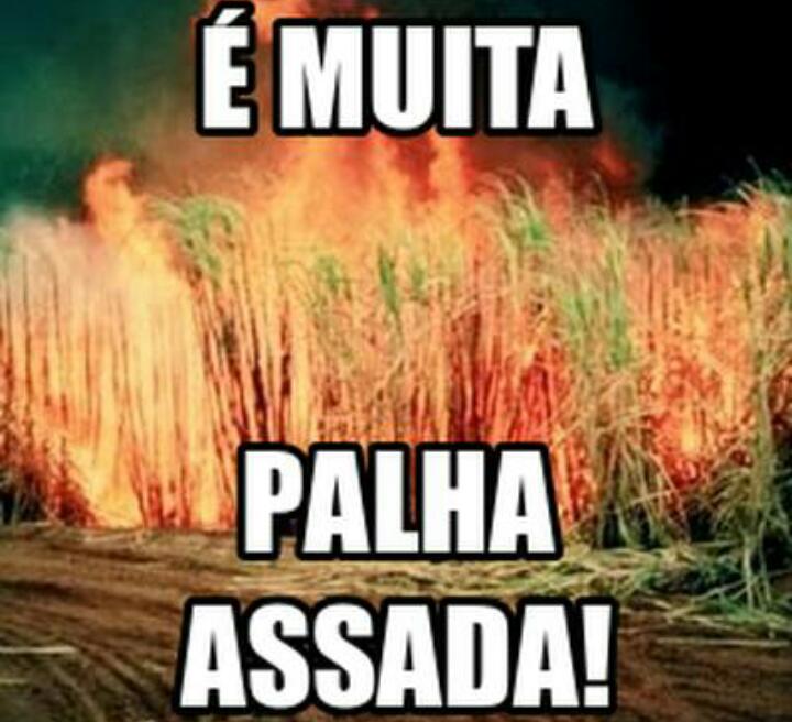 TROPA DA ZUEIRA