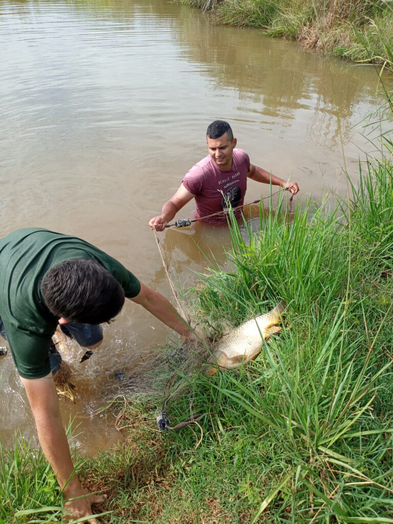 Caça e pesca missões