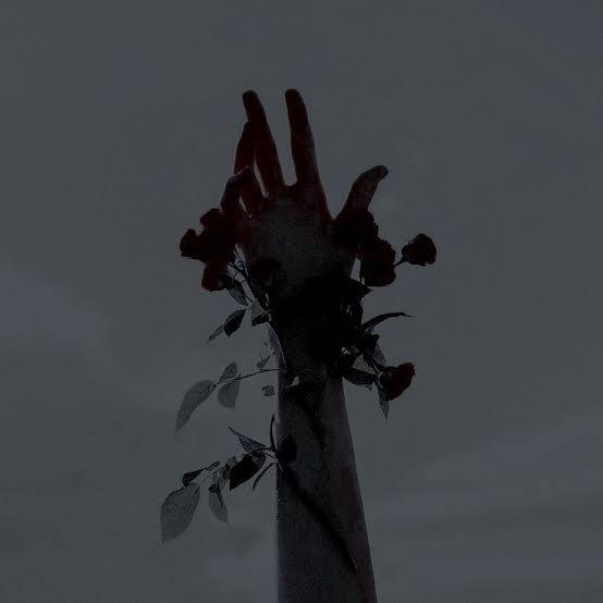 𝔡𝔞𝔯𝔨 𝔫𝔢𝔟𝔲𝔩𝔞.