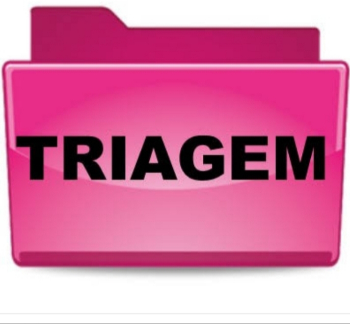 *TRIAGEM HOSPÍCIO DA AMIZADE*