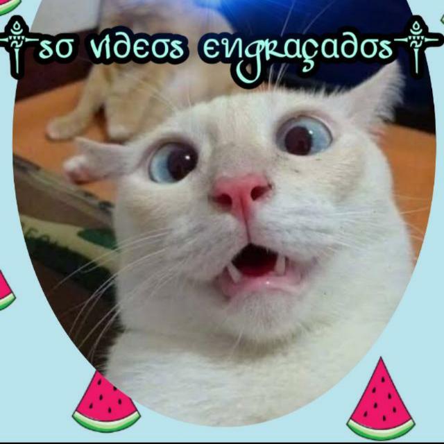 Só Videos Engraçados