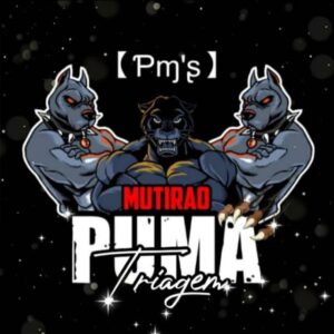 Recrutamento puma