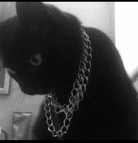 ꧁🌌góticos rabuds🌌꧂