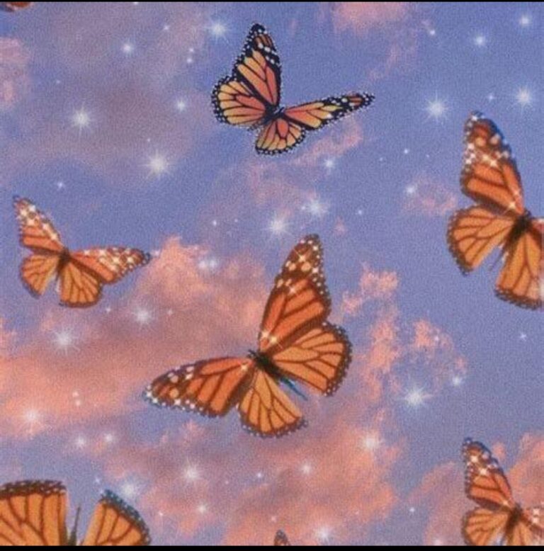 Amizade colorida 😳🦋