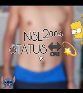 Nsl_Status 2004