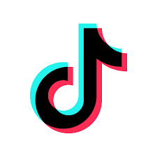 SEGUIDORES tiktok