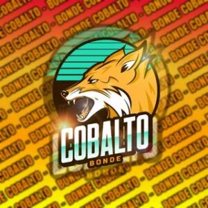 🦊RECRUTAMENTO COBALTO🦊