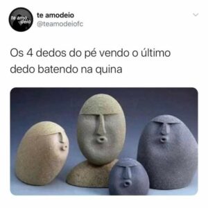 Memes em ação