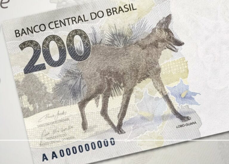 @lobo-guará 💸💸