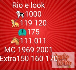 BONZANA NAS ASAS DA SORTE