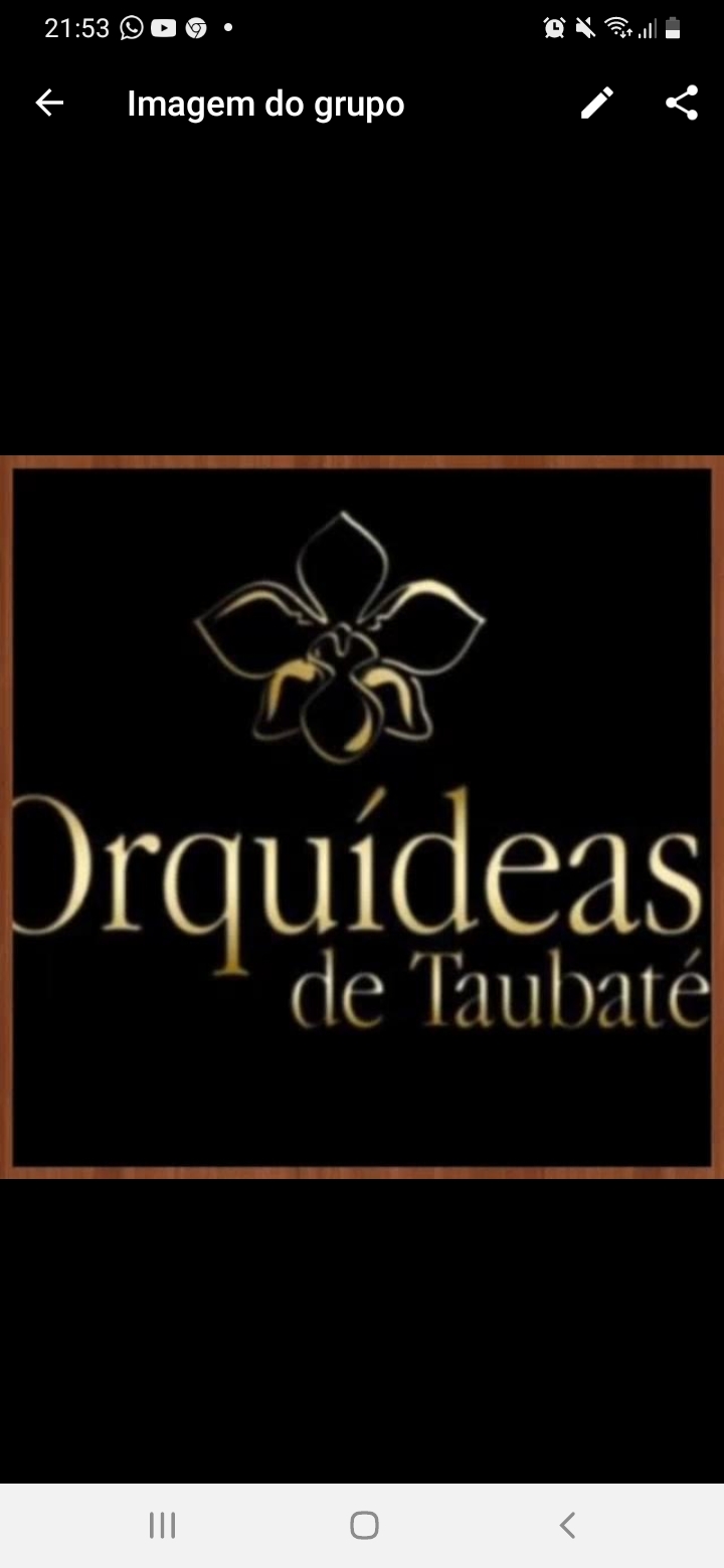 Orquídeas de Taubaté-SP
