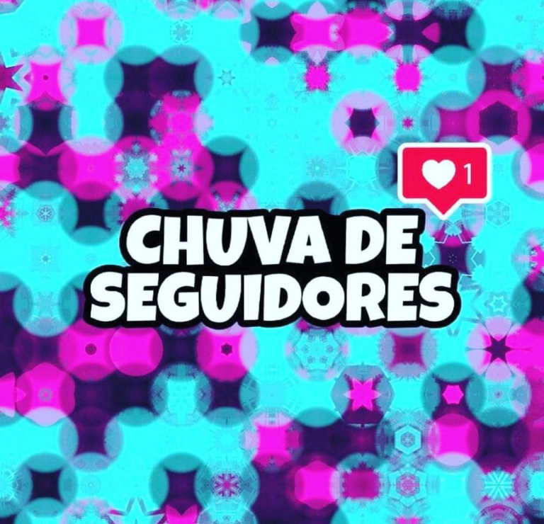 ¹SEGUIDORES NO INSTA