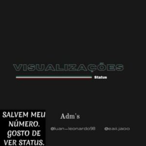 Visualizações do status🔥🔥