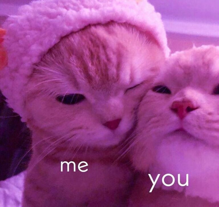 Love and Lofi