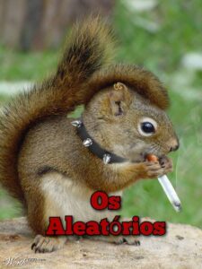 ㇀🐿 ۬.͜˖- ❍𝐒 ALEATÓRIOS
