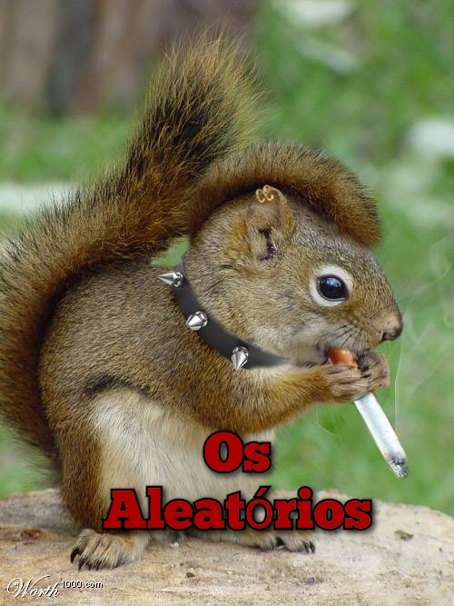 ㇀🐿 ۬.͜˖- ❍𝐒 ALEATÓRIOS